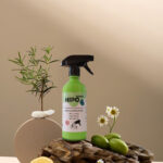 هیپوکلینیک