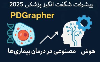 WhatsApp Image 2025 09 22 at 11.47.19