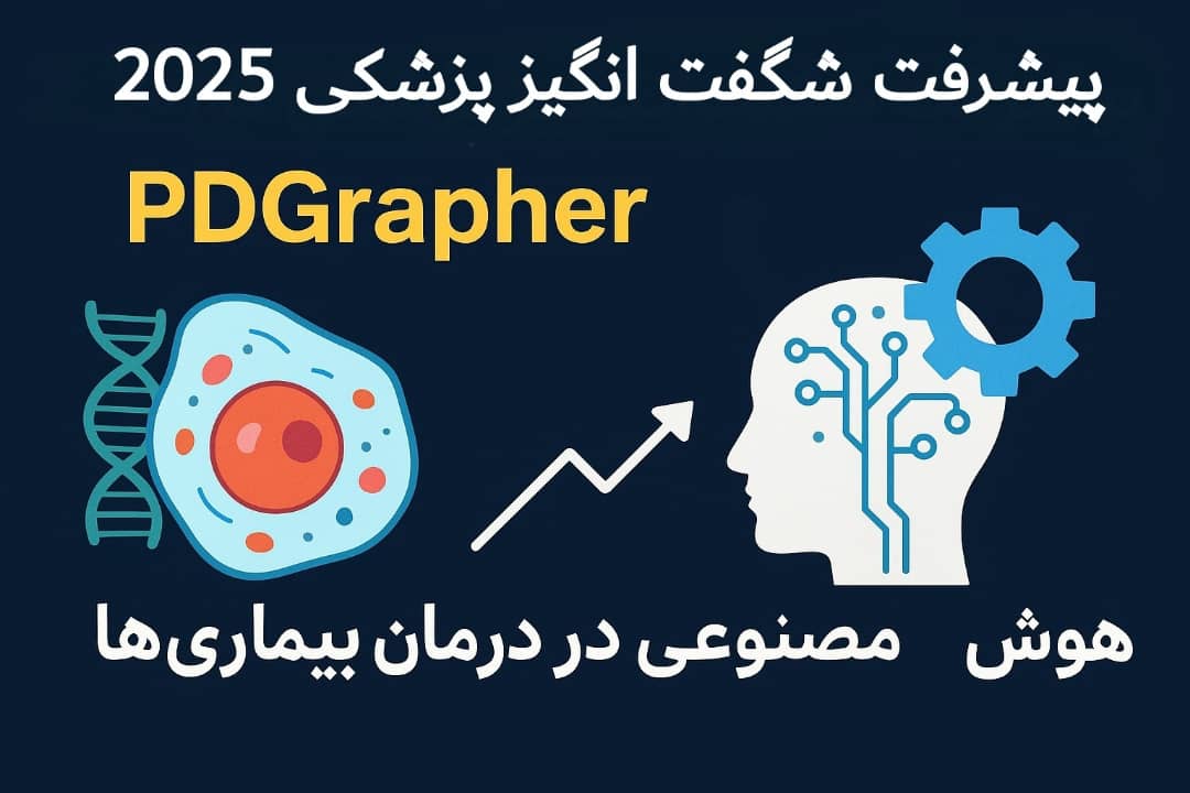 WhatsApp Image 2025 09 22 at 11.47.19